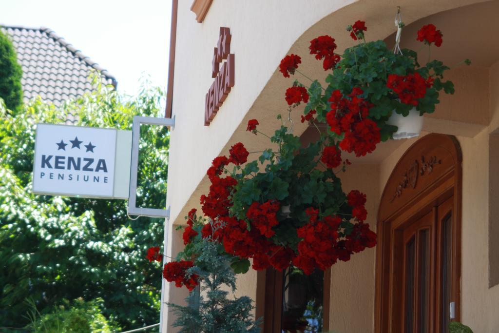 Pensiunea Kenza Targu Mures Exterior photo